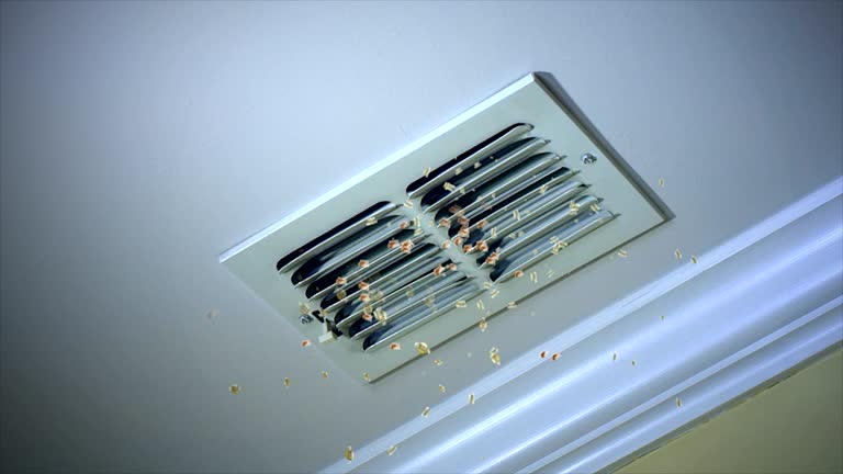 Treasure Island, FL Airduct Cleaning Pros